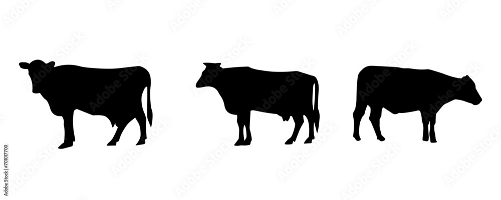 Cow silhouette collection. Collection of cow silhouettes. Isolated on White background