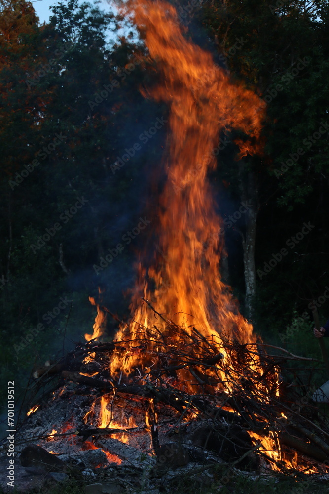 fire in the garden fire in the garden