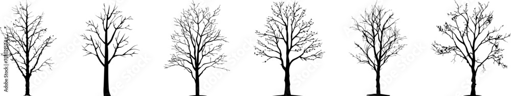 silhouette tree line drawing set, Side view, graphic tree elements set outline symbol for architecture and landscape design drawing. Vector illustration. Tropical silhouette tree line drawing set, Side view, graphic tree elements set outline symbol for architecture and landscape design drawing. Vector illustration. Tropical