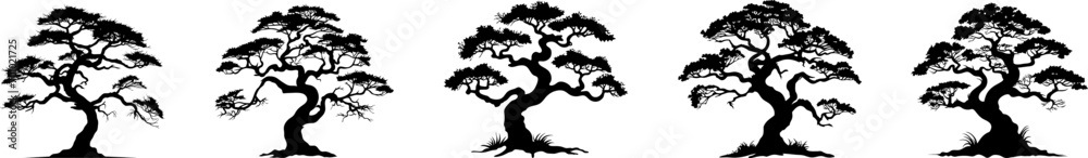 Tree silhouettes, vector, conifers, etc. Tree silhouettes, vector, conifers, etc.