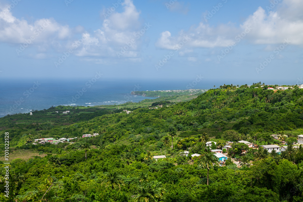Barbados: view of the wild green atlantic coast.