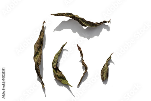 Ivan tea for health.Narrow-leaved cypress for brewing.Dried Ivan tea. Folk medicine. herbage