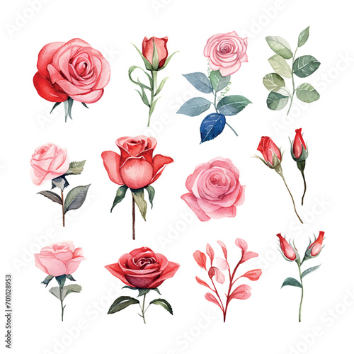 Valentine's Day Rose set watercolor