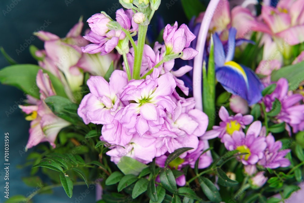 Close-up of pink freesia among other flowers of a holiday bouquet.                               