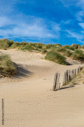 Fototapeta Naklejka Na Ścianę i Meble -  Sand dunes at Camber in Sussex on a sunny September day