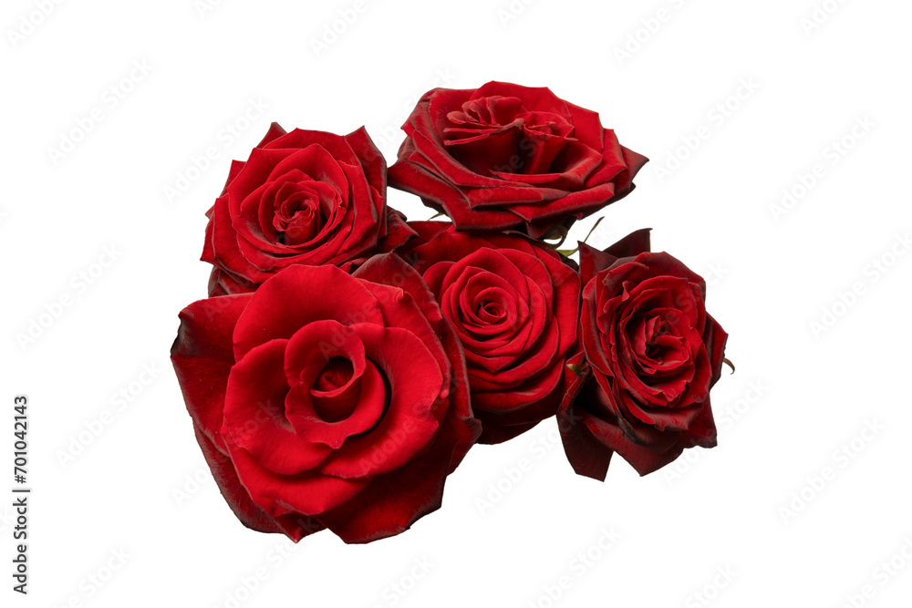 A bouquet of beautiful red roses isolated on a white background. A bouquet of beautiful red roses isolated on a white background.
