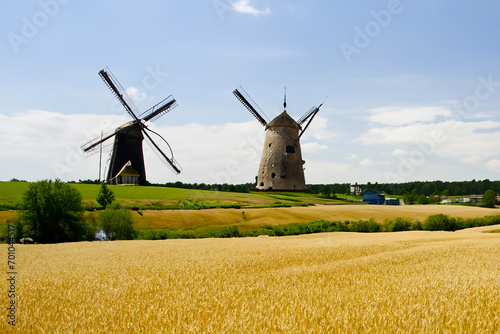 Mulini a vento con campo di grano