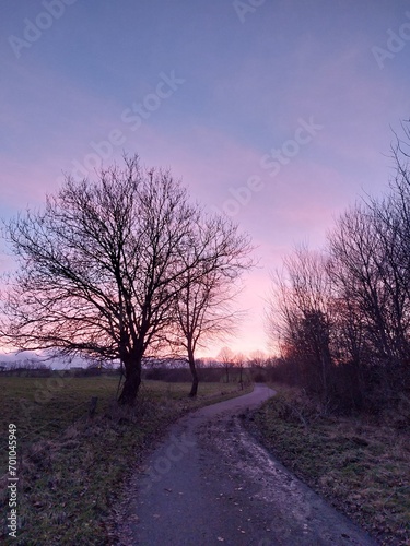 sunset in the nature