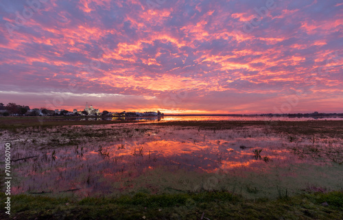El Roco marsh, Almonte, Huelva, Andalusia, Spain, with a beautiful, pink sunrise photo