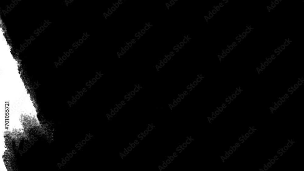 Paint brush transition Fast Abstract stroke black and white background, animation of paint splash. Brush stroke black and white transition background