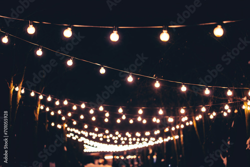 illuminated alley in dark park, festive decorated light bulbs at night