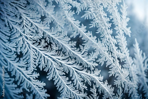 The intricate patterns of frost on a windowpane.