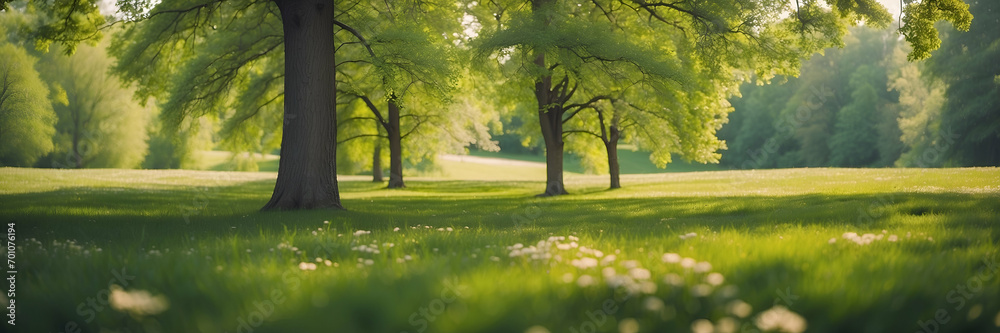 Beautiful blurred background, Spring nature image, Neatly trimmed lawn photos, Trees against blue sky visuals, Bright sunny day landscape, Spring nature with clouds stock, Blurred lawn surrounded Beautiful blurred background, Spring nature image, Neatly trimmed lawn photos, Trees against blue sky visuals, Bright sunny day landscape, Spring nature with clouds stock, Blurred lawn surrounded