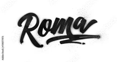 Rome city name written in graffiti-style brush script lettering with spray paint effect isolated on transparent background