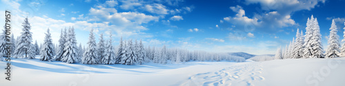 winter forest landscape © sam richter
