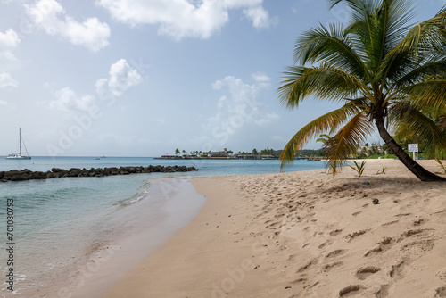 Heywoods Beach, Barbados: view of the tropical beach along the caribbean coast. © Giongi63