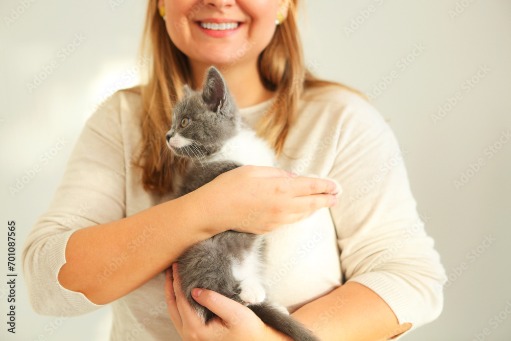 Cute grey and white kitten sitting on the hands of the woman