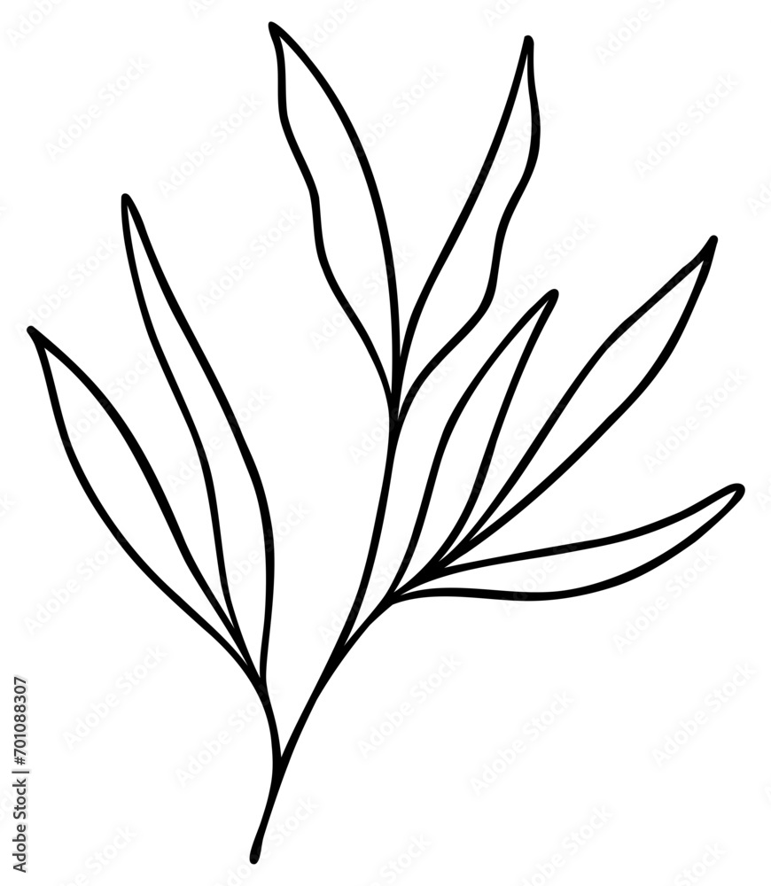 Line Art Leaves On Branch Line Art Leaves On Branch