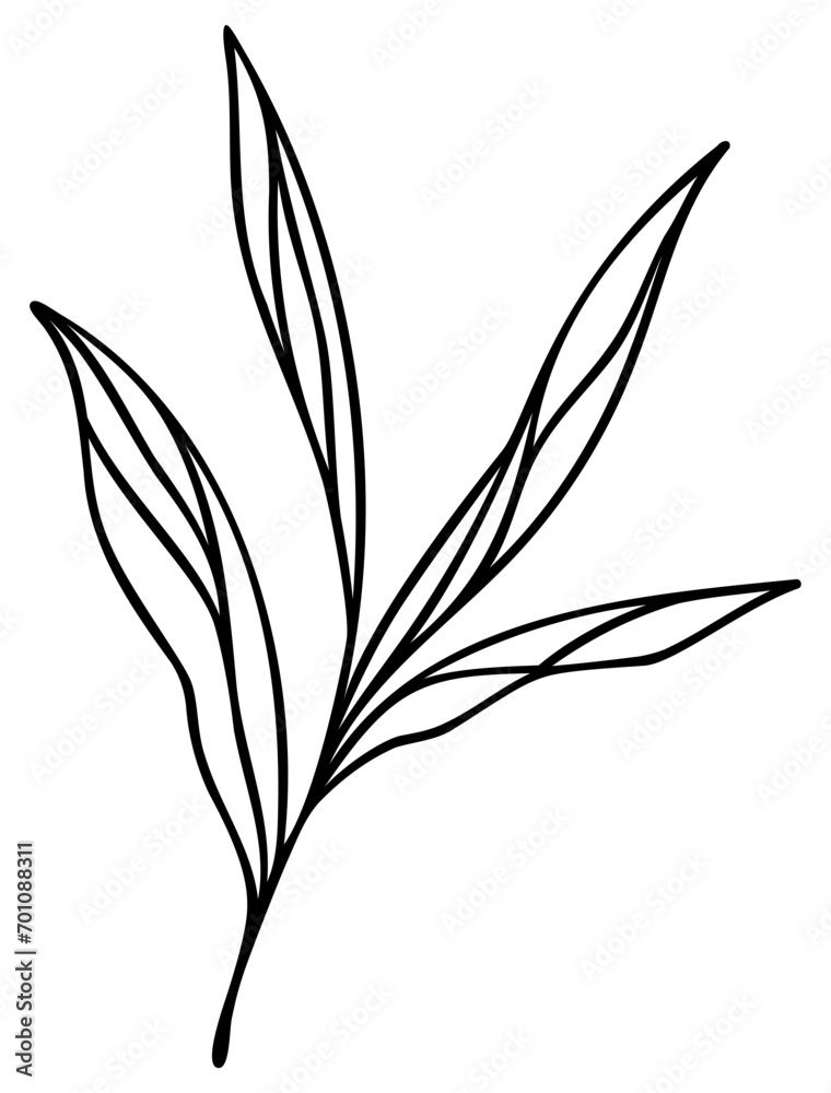 Naklejka premium Leafy Line Art