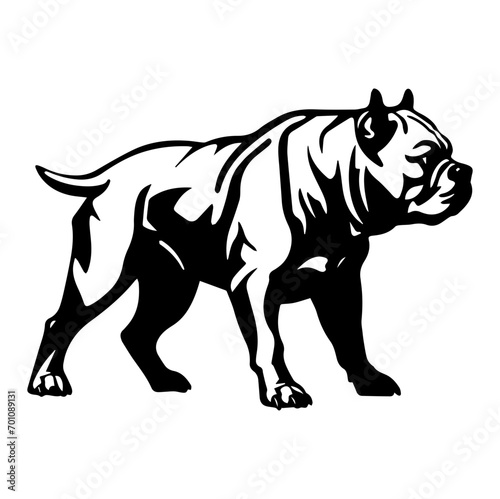 Standing American Bully Dog  American Bully Dog monochrome clip art. Vector illustration
