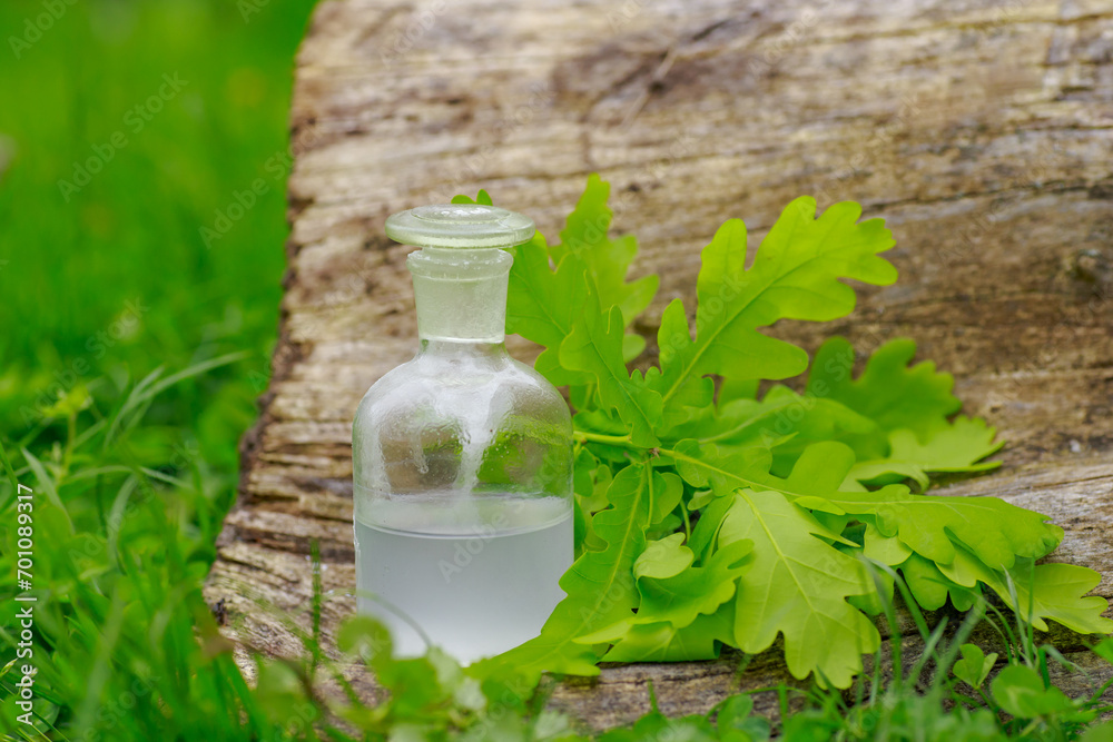 Oak and tincture of oak in a white bottle with a cork on the background of hemp. A medicine bottle next to the oak leaves. Medical preparations from plants. Medicinal plants.