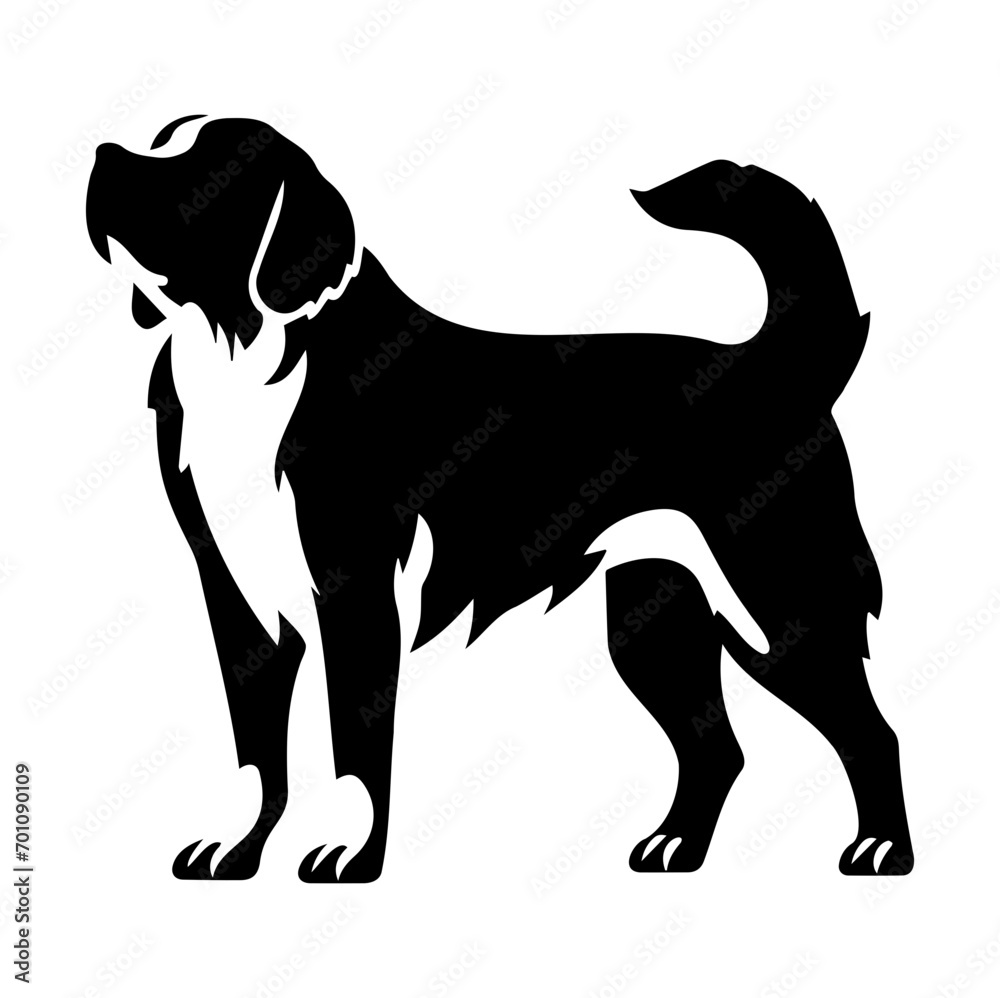 Standing Saint Bernard Dog, Saint Bernard Dog monochrome clip art. Vector illustration