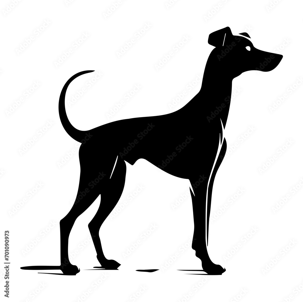 Standing Whippet Dog, Whippet Dog monochrome clip art. Vector illustration