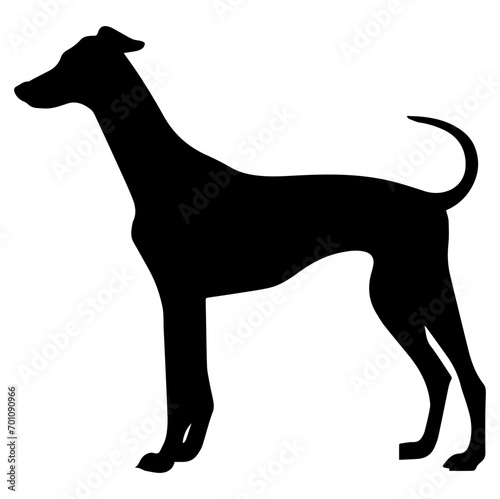 Standing Whippet Dog  Whippet Dog monochrome clip art. Vector illustration