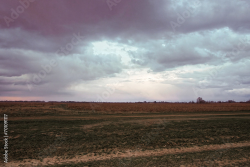 An open field with dark clouds gathering above.
