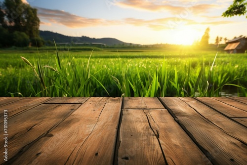 Natures tableau Old wooden floor, green rice field, sunrise.