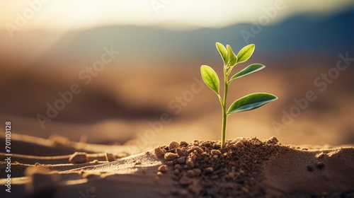 Seedling are growing soil to the morning sunlight that is shining, ecology concept of background.