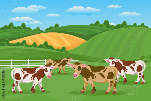 Cute spotted cows in the pasture, summer landscape. A herd of cows is grazing in the meadow. Poster, banner, illustration, vector