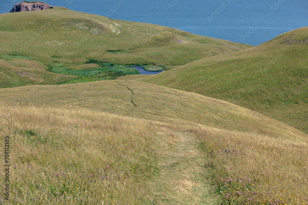 vue en hauteur sur une colline avec du gazon vert en bord de mer lors d'une journée d'été vue en hauteur sur une colline avec du gazon vert en bord de mer lors d'une journée d'été