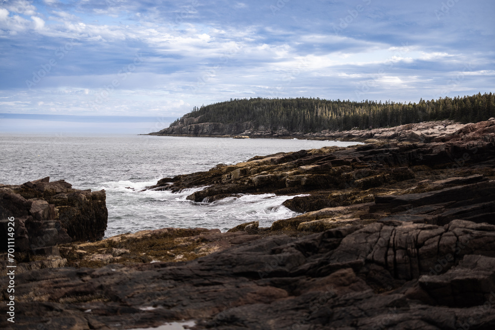 Maine coast line with ocean and rocks and trees Maine coast line with ocean and rocks and trees