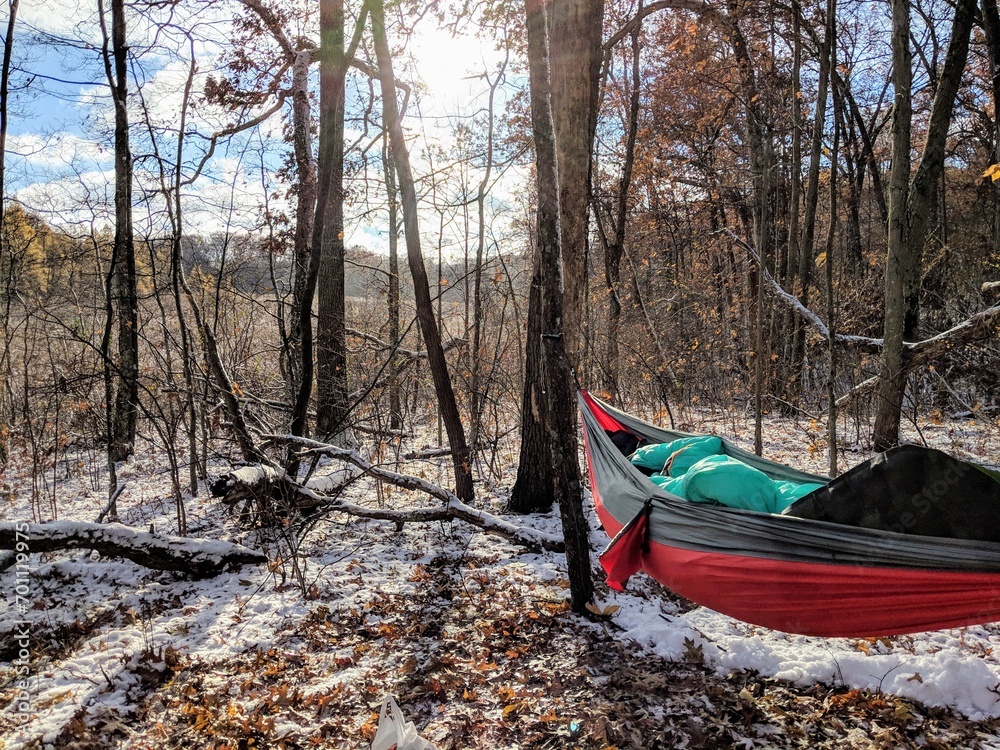 Fototapeta premium Hammock