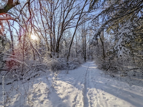 Frozen path