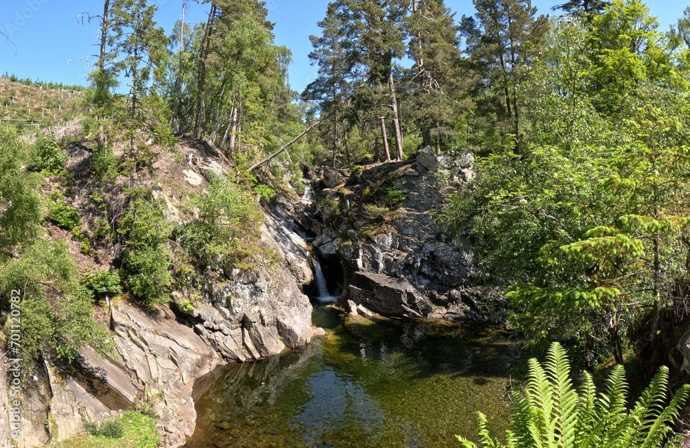 river in the woods