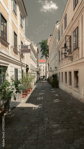 Old street in historic Vienna Spittelberg district, Wien, Austria