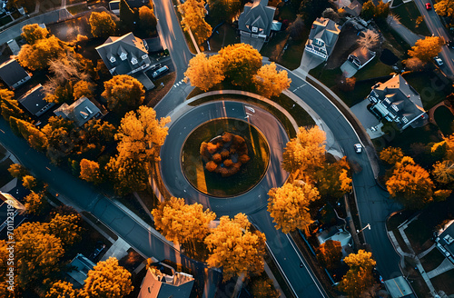 Autumnal Suburb Aerial View