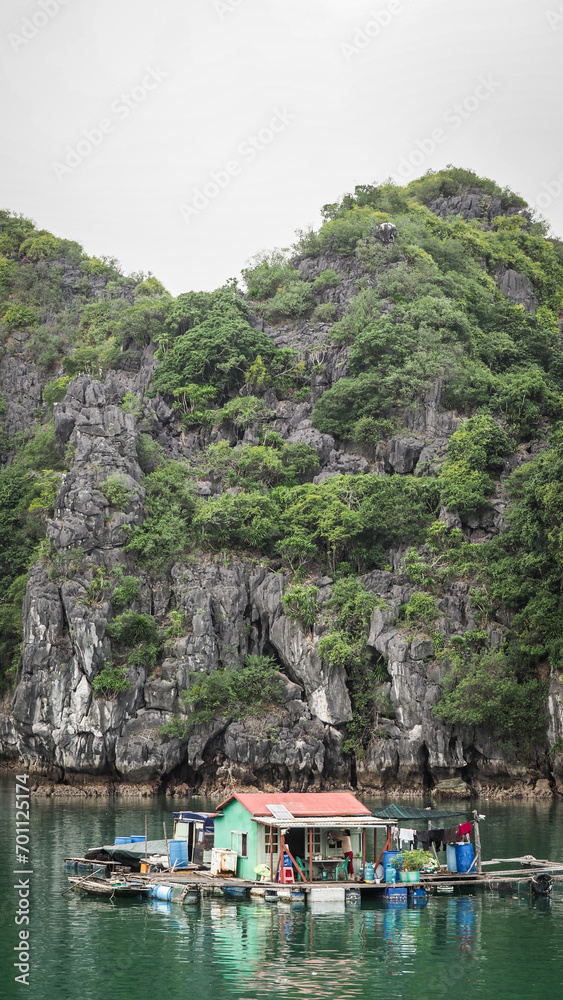 Fototapeta premium The landscape of Ha Long Bay in Northern Vietnam