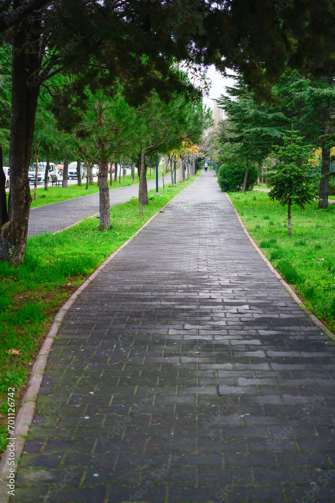 footpath in the park