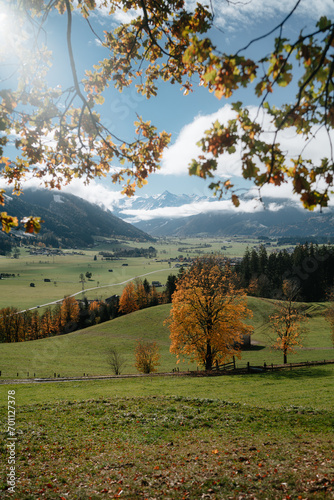 Beautiful autumn scenery with golden foliage trees and snowy mountain tops in Saalfelden, Salzburger Land, Austria