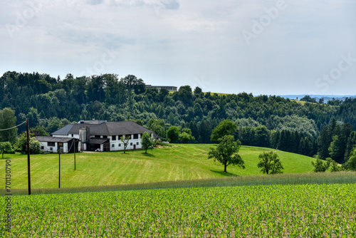 Mühlviertel, Oberösterreich, Hügelland, Landwirtschaft, Wiesen, Felder, Wiese, Feld, Acker, Wald, Baum, Bauernhaus, Bauernhäuser, Vierkanter, Hof, Vierkanthof, Tradition, Brauchtum, Sommer, Erntezeit,