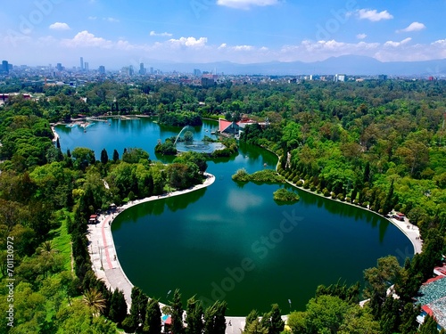 Aerial view of city lake with blossom trees