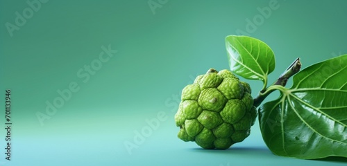 A fresh noni fruit, side-angle, realistic in Agfa Vista 400 style, against a light green backdrop, with diffused and soft light. photo