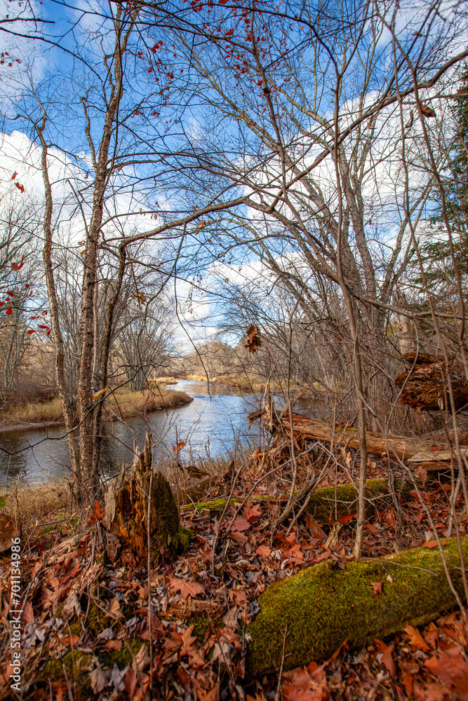 Obraz premium Rib River flowing through a Wisconsin forrest