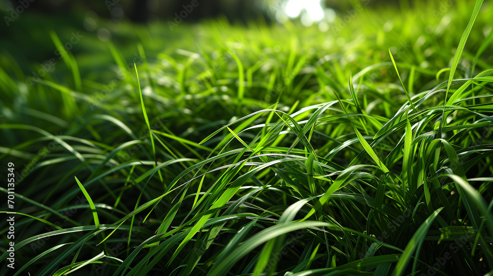Realistic Perfect Green Grass Texture with Even Length and Unfocused Background Realistic Perfect Green Grass Texture with Even Length and Unfocused Background