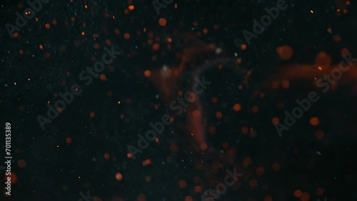 Super slow motion of dust particles flying, isolated on black background. Filmed on high speed camera, 1000 fps photo