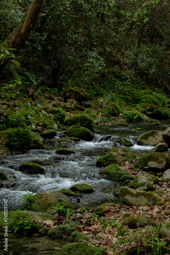 Corriente de agua en un río