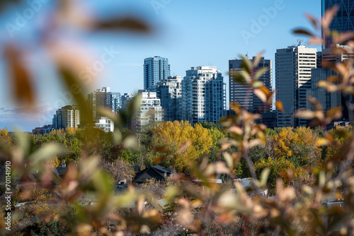 Calgary cityscape seen through tree leaves